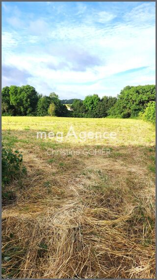  Terrain à vendre 6042 m²