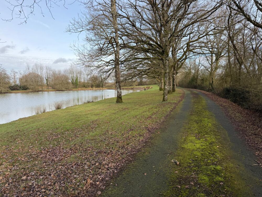 � vendre  Maison Vezins (49340)