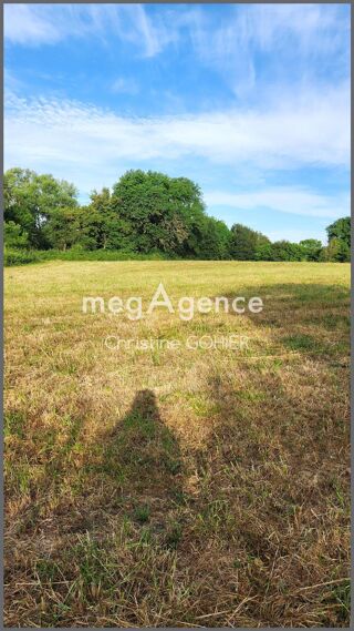  Terrain à vendre 