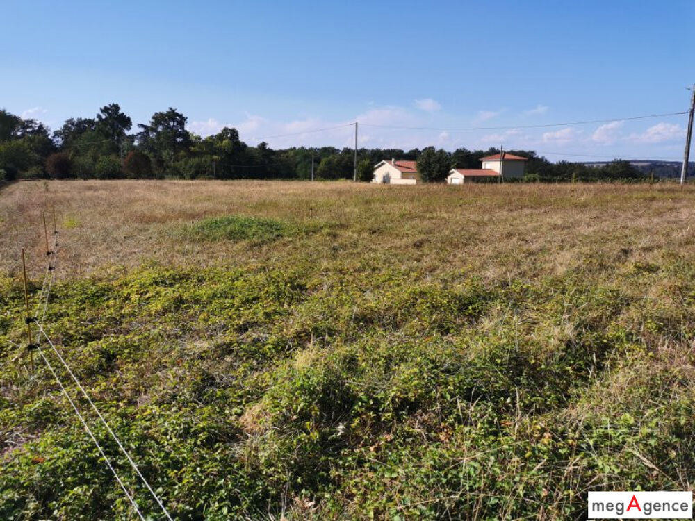 Vente Terrain TERRAIN CONSTRUCTIBLE 2500 M² Bouzon-gellenave