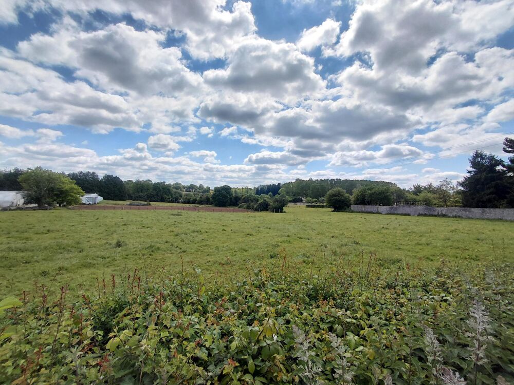 Vente Terrain Terrain constructible divisible en 4 lots de 9252m² La ferte-mace