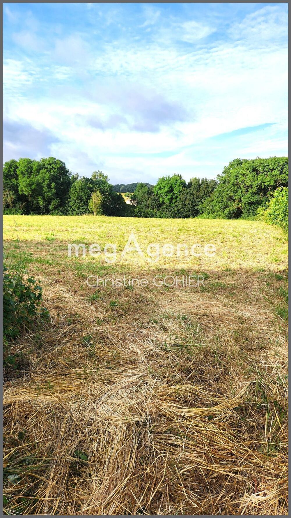 Vente Terrain Terrain Ecoyeux