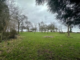 Vente Maison maison à rénover sur un hectare 6000m2 avec dépendances Sainte-marie-du-bois