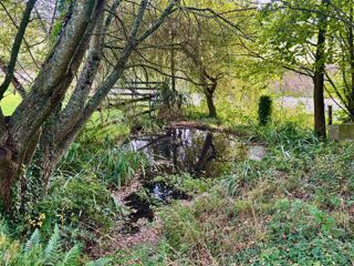  Maison � vendre 15 + pi�ces 317 m�