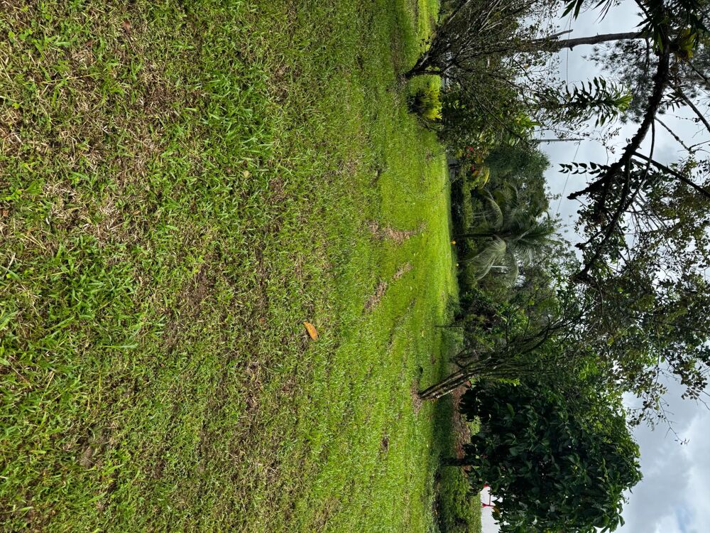 Vente Terrain Terrain à bâtir Route de Stoupan  MATOURY 1329 m² Matoury