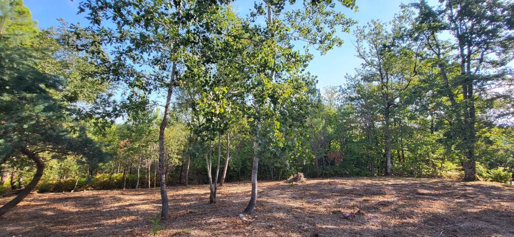 Vente Terrain Terrain constructible arboré et boisé Bergerac