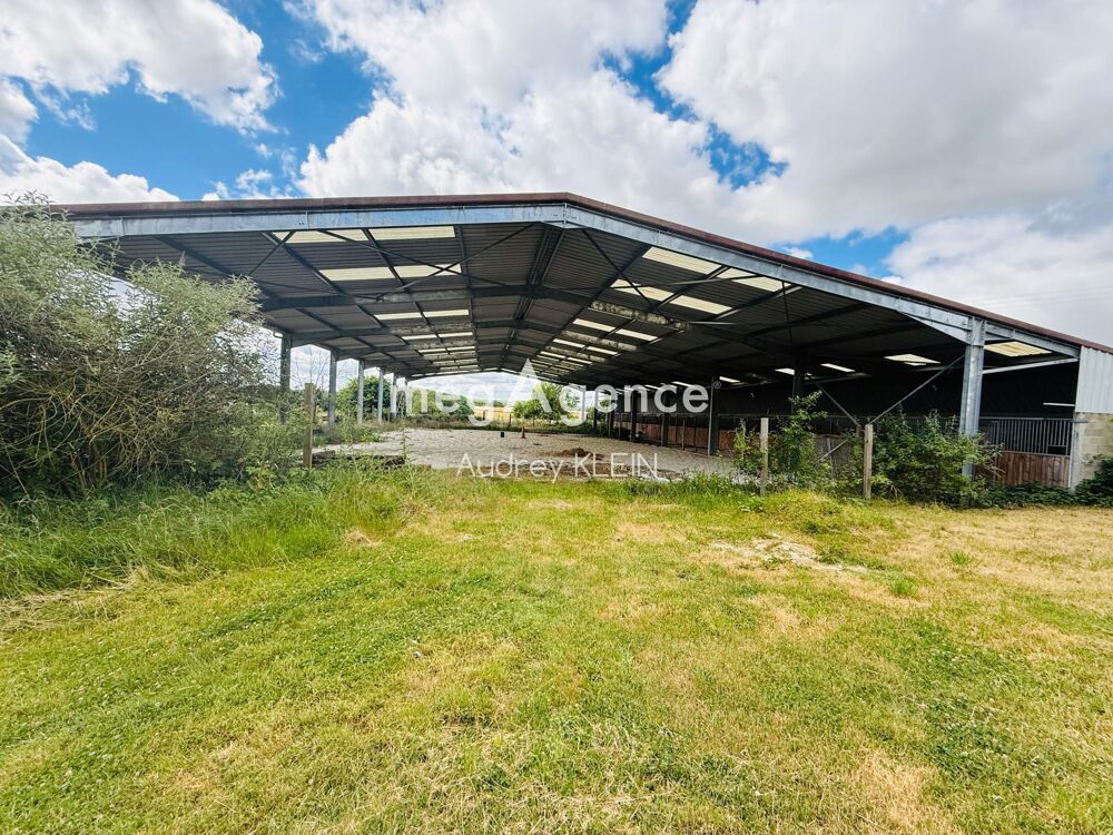 Belle propriété au calme avec terrain, piscine et box équestre