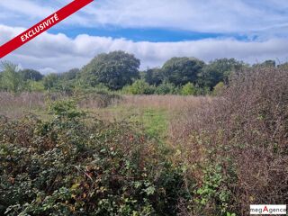  Terrain à vendre 56990 m²