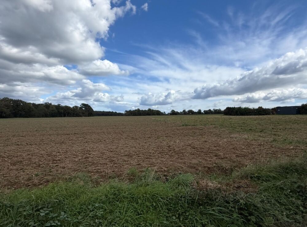 Vente Terrain Terrain constructible 870m2 Molac