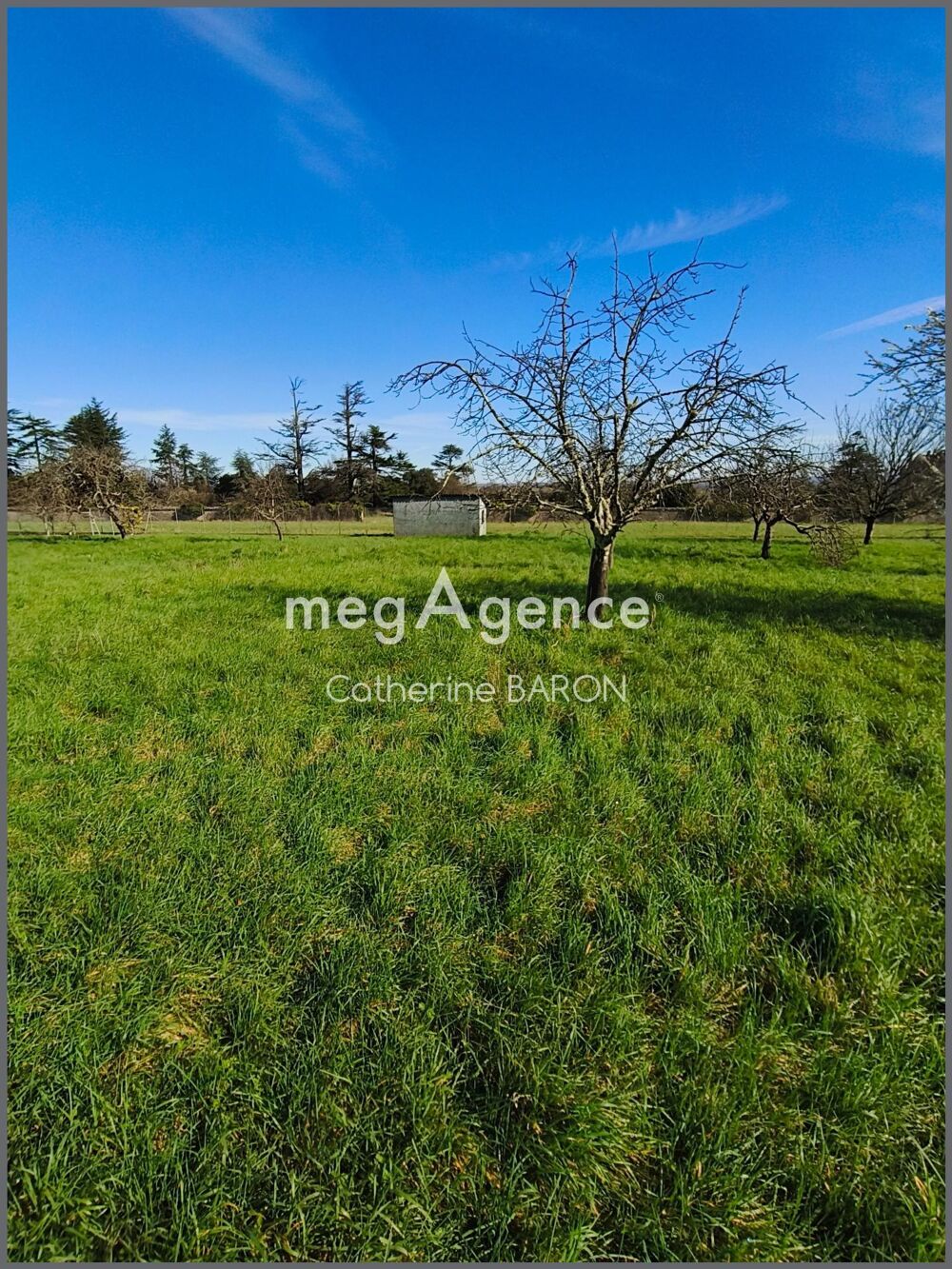 Vente Terrain Terrain à bâtir 760m2 Cognac