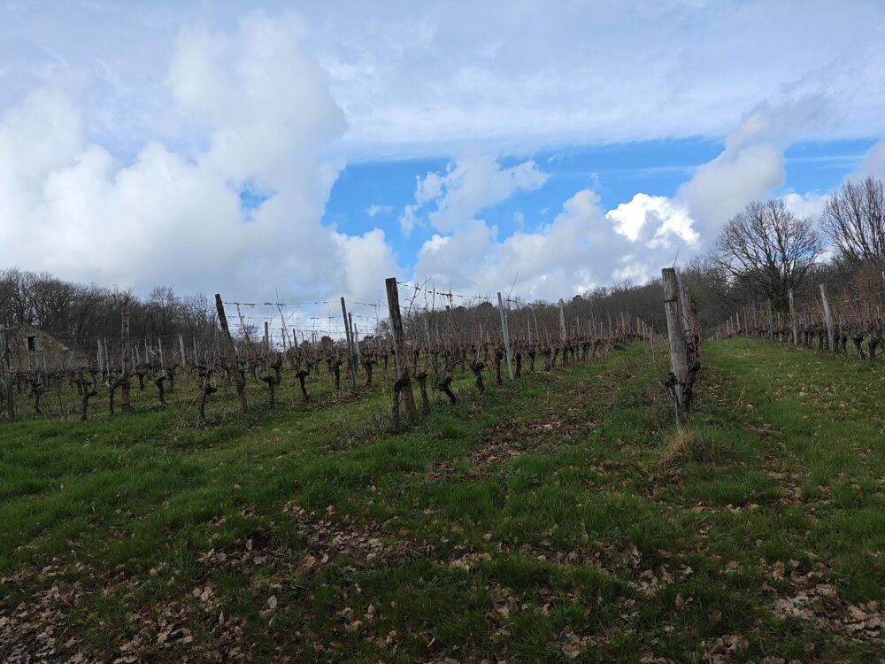 Propriété viticole pécharmant