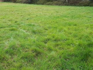  Terrain  vendre 320 m