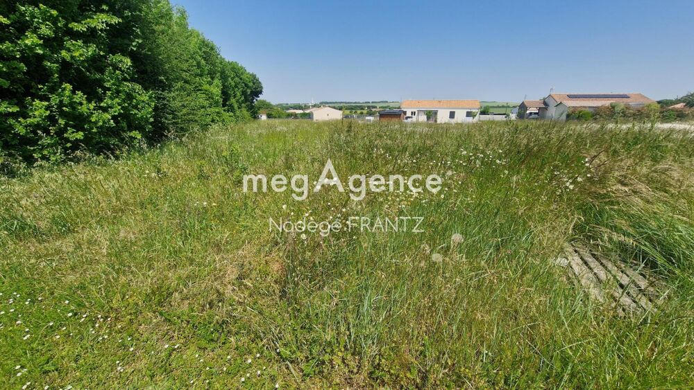 Vente Terrain Terrain à bâtir 1028 m² viabilisé et borné  17380 LANDES– Parcelle constructible, Accès direct Landes