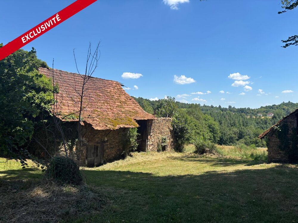 Fermette à restaurer sur 26878 m² de terrain avec cours d'eau