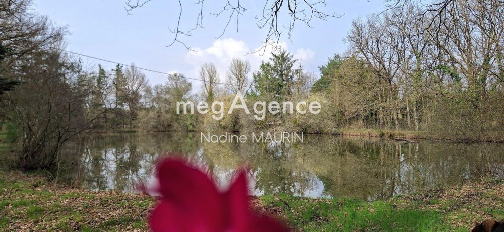 Propriété avec étang et piscine -Mur de Sologne