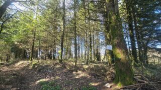  Terrain � vendre 5600 m�