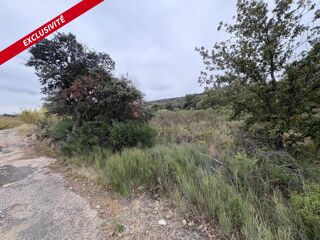 Vente Terrain Terrain agricole 10160 m2 Belesta