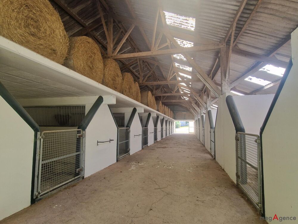 à vendre  Maison Nozay (44170)