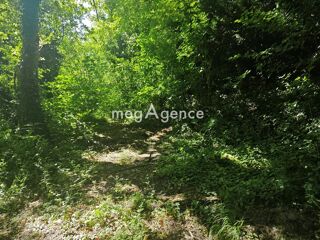  Terrain � vendre 3260 m� Bellot