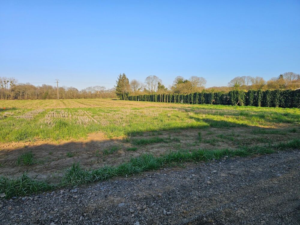 Vente Terrain Terrain à bâtir - 1314 m² constructible - au calme Plouvara