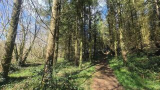  Terrain  vendre 5600 m