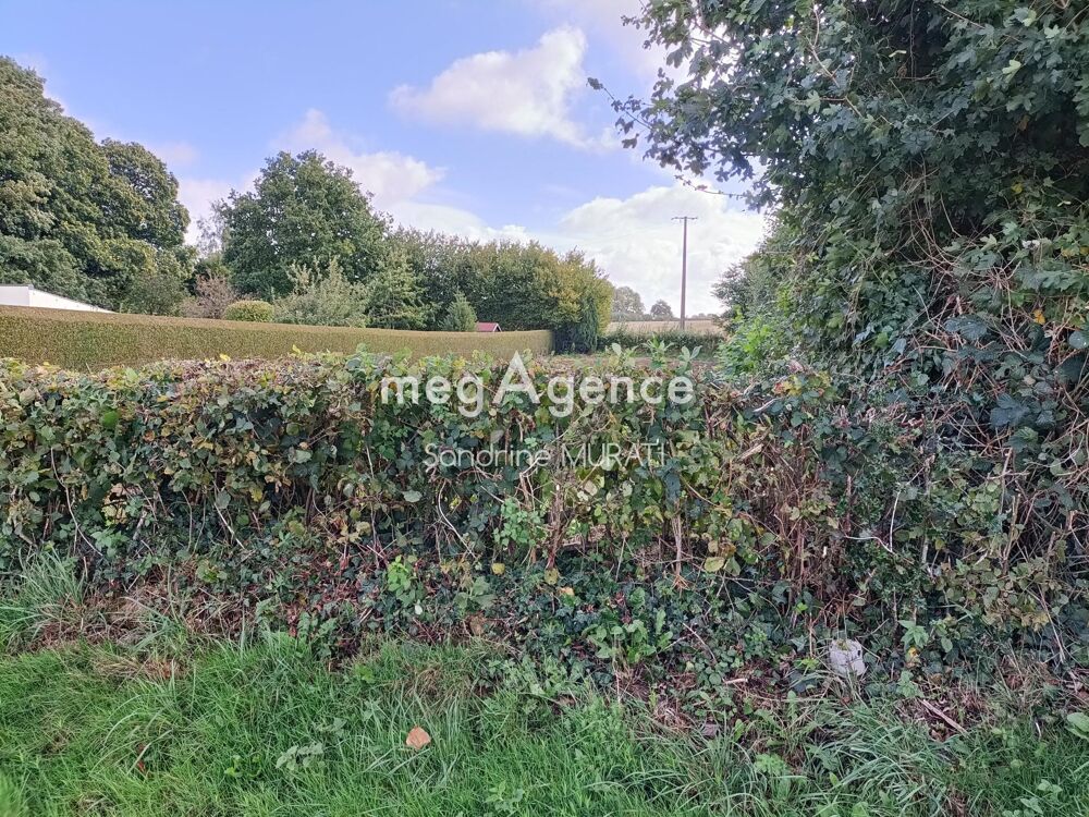 Vente Terrain TERRAIN CONSTRUCTIBLE - GANDELAIN Gandelain