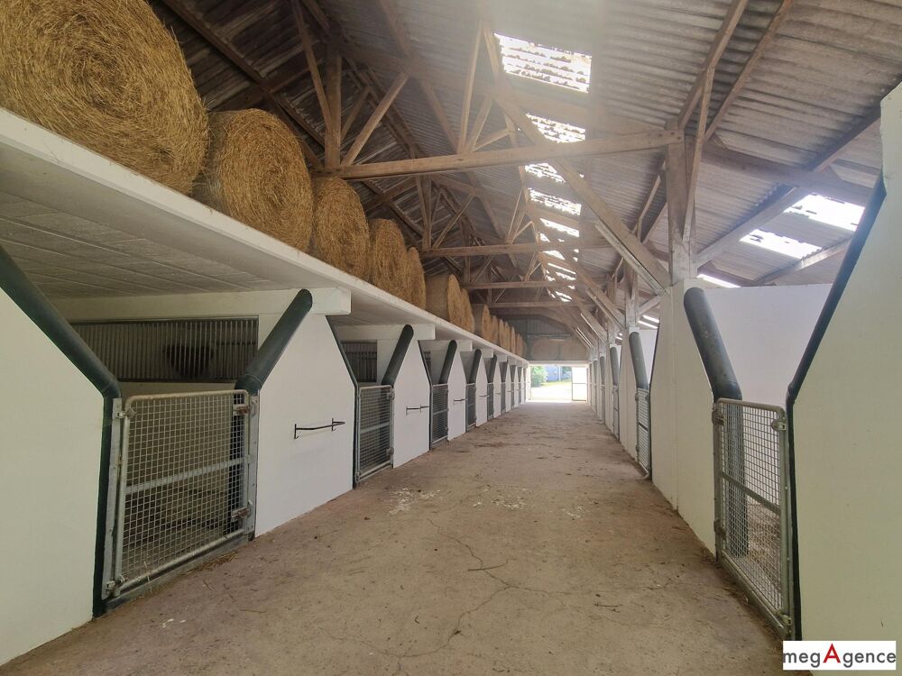 à vendre  Maison Nozay (44170)