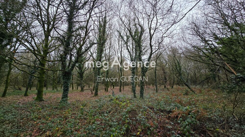 Vente Maison Belle Propriété avec dépendances et parcelle boisée Kergrist-moelou