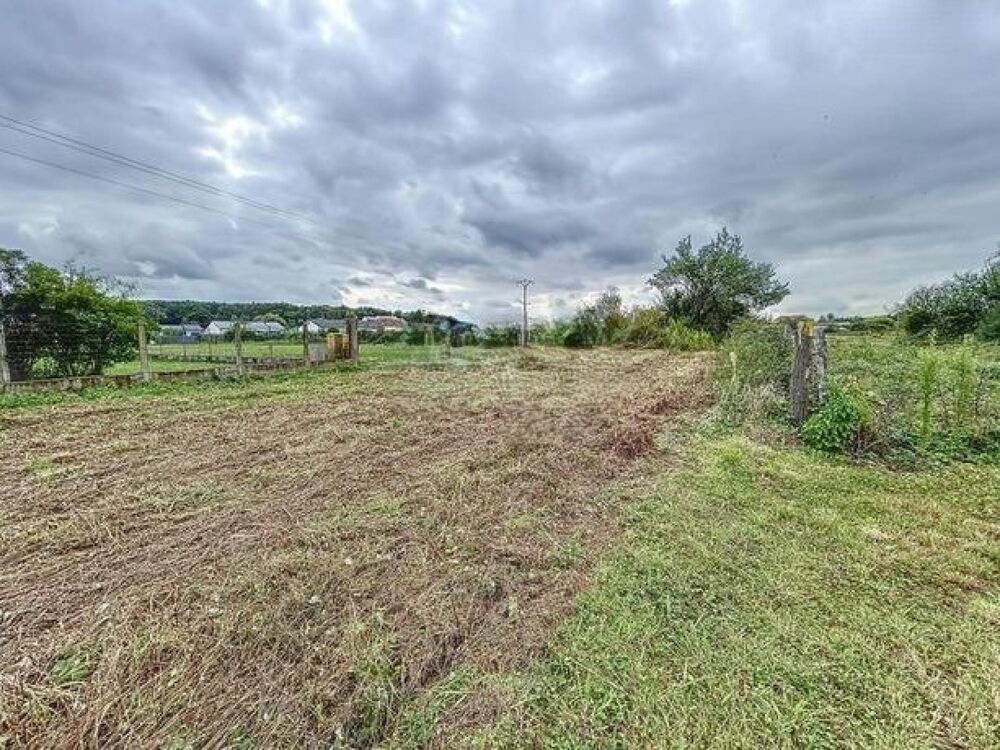 Vente Terrain Terrain avec CU favorable à Brugheas – Projet maison individuelle Brugheas