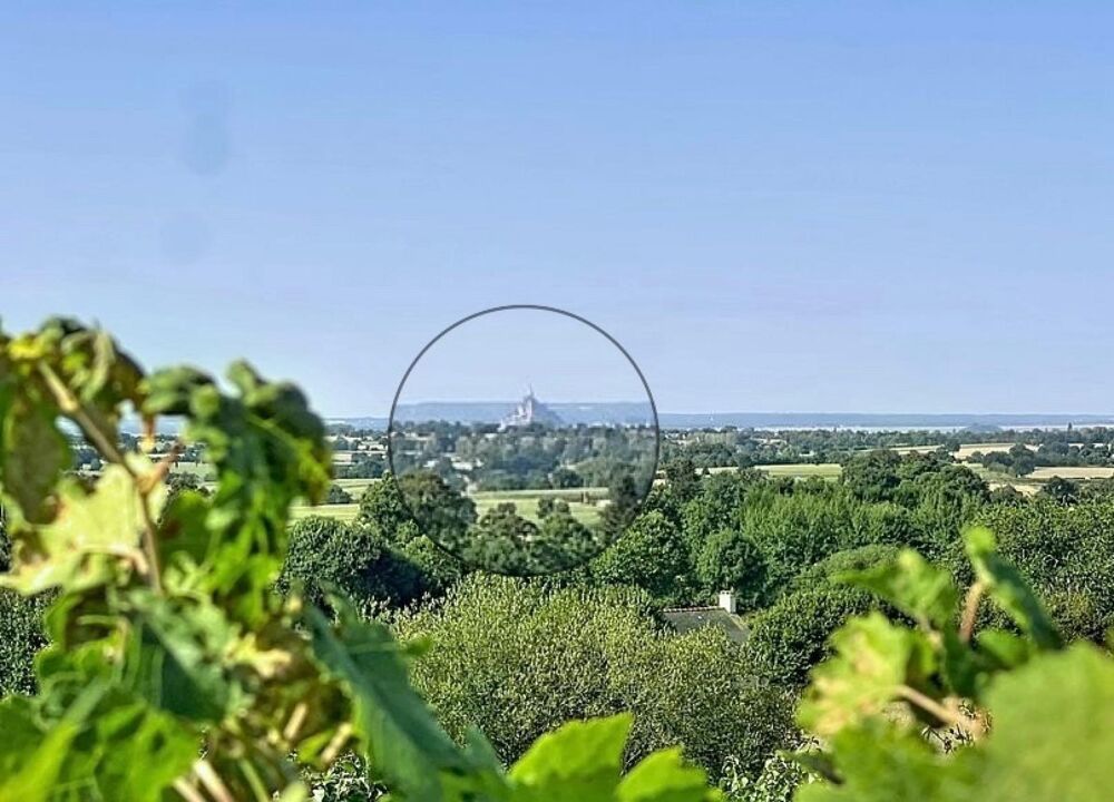 Vente Maison Basse consommation et vue exceptionnelle Baie du Mont-Saint-Michel ! Lolif