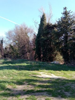  Terrain � vendre 1600 m� Millas