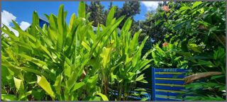  Maison � vendre 2 pi�ces 22 m�