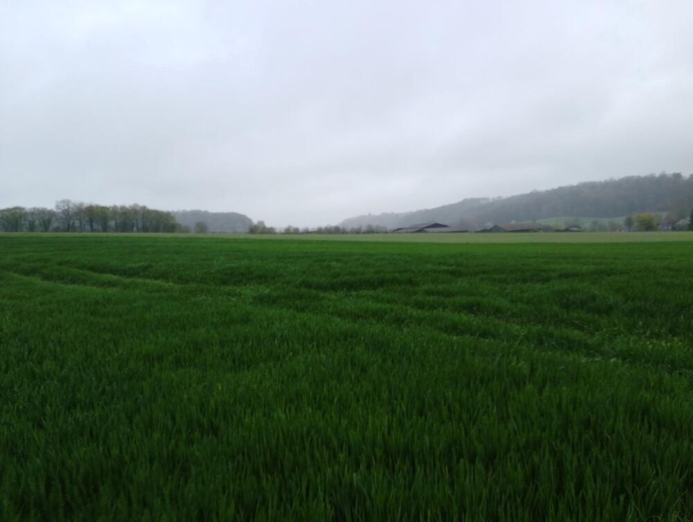 Vente Terrain Terrain agricole à vendre, idéal pour développer ou agrandir votre exploitation Saint-mard-de-reno