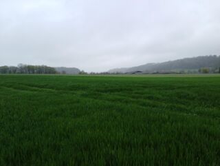  Terrain à vendre 190000 m²