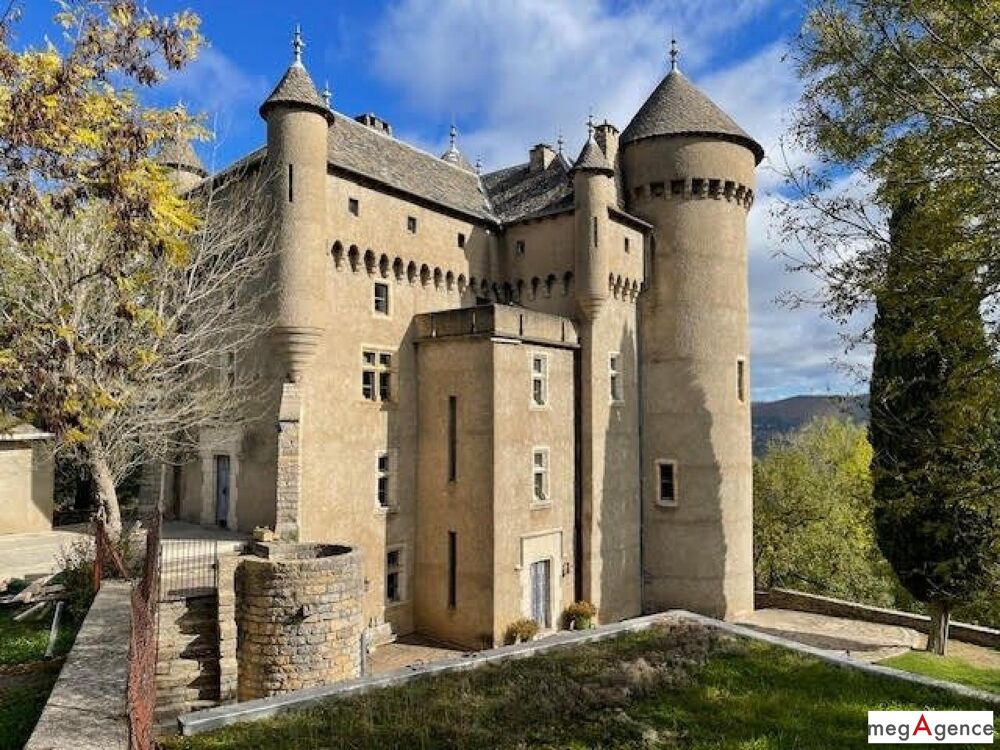 � vendre  Propri�t�/ch�teau Rivi�re-sur-Tarn (12640)