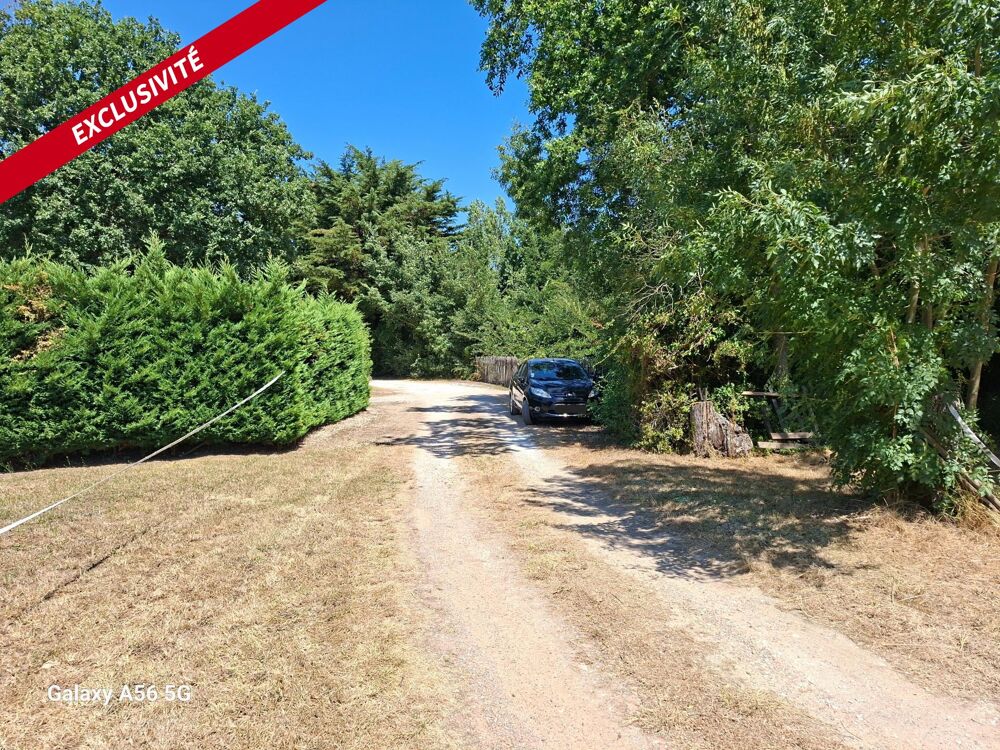 Vente Terrain Terrain boisé de 437 m² à Saint-Georges-d'Oléron Saint-georges-d'oleron