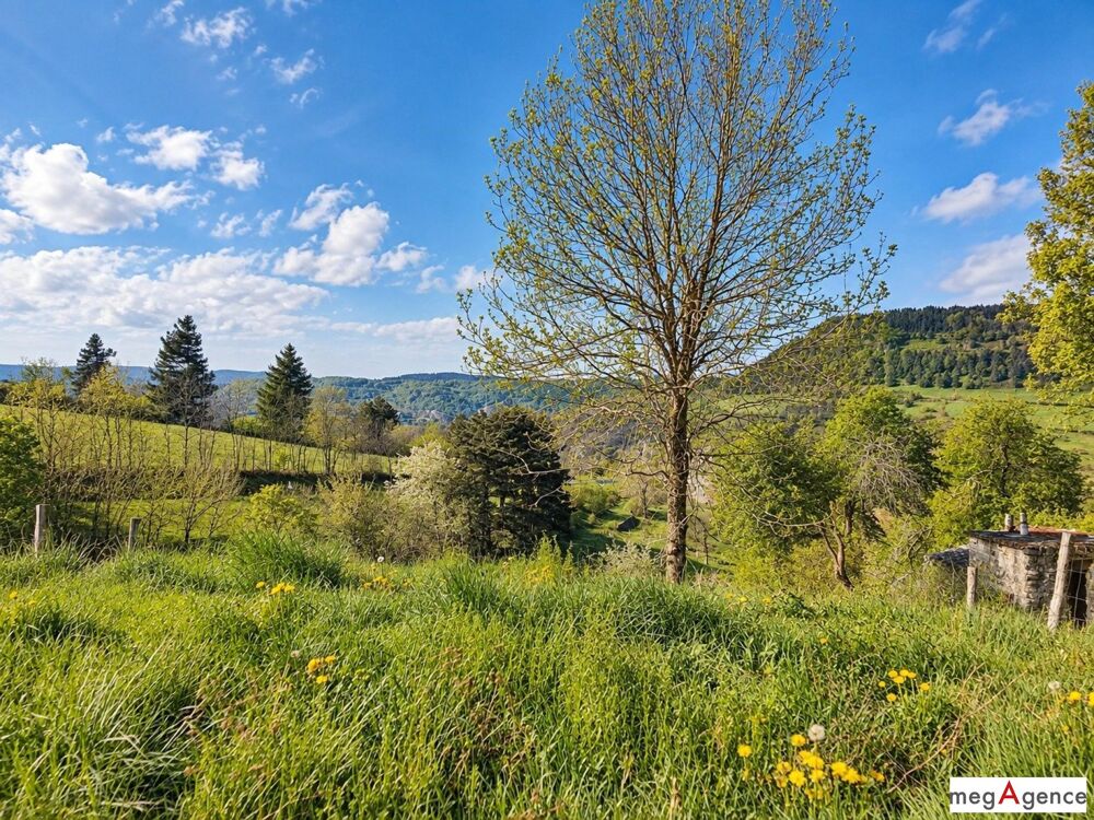 Maison en pierre + grange + 3 200 m² terrain  Cévennes