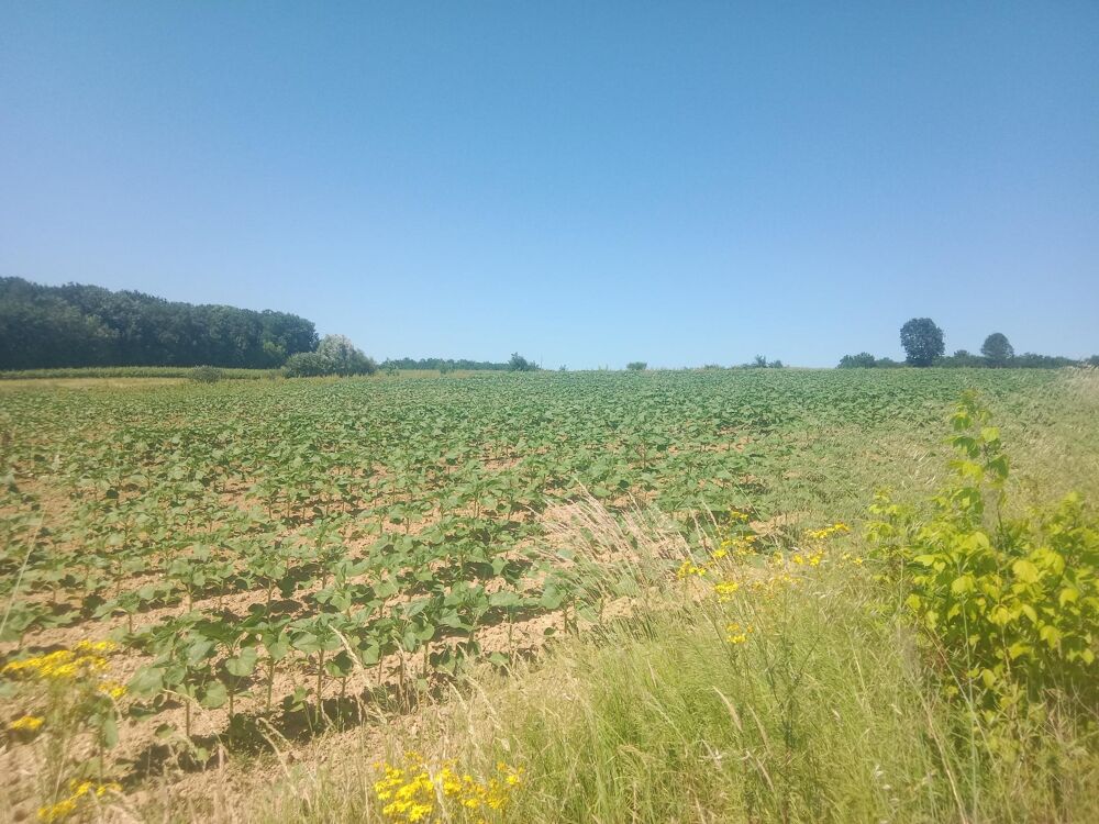 idéal pour ferme ou élevage