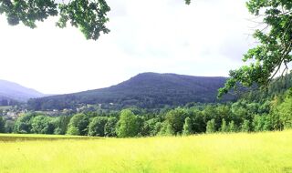  Immeuble � vendre 1200 m�