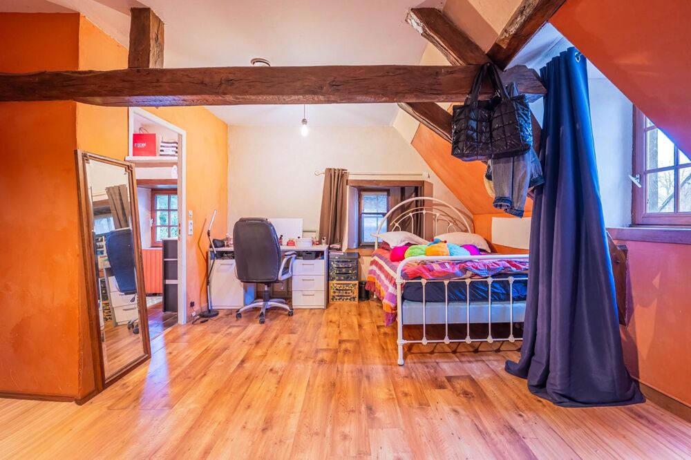 Vente Maison Vaste Propriété avec dépendances et plan d'eau Saint-jean-d'assé