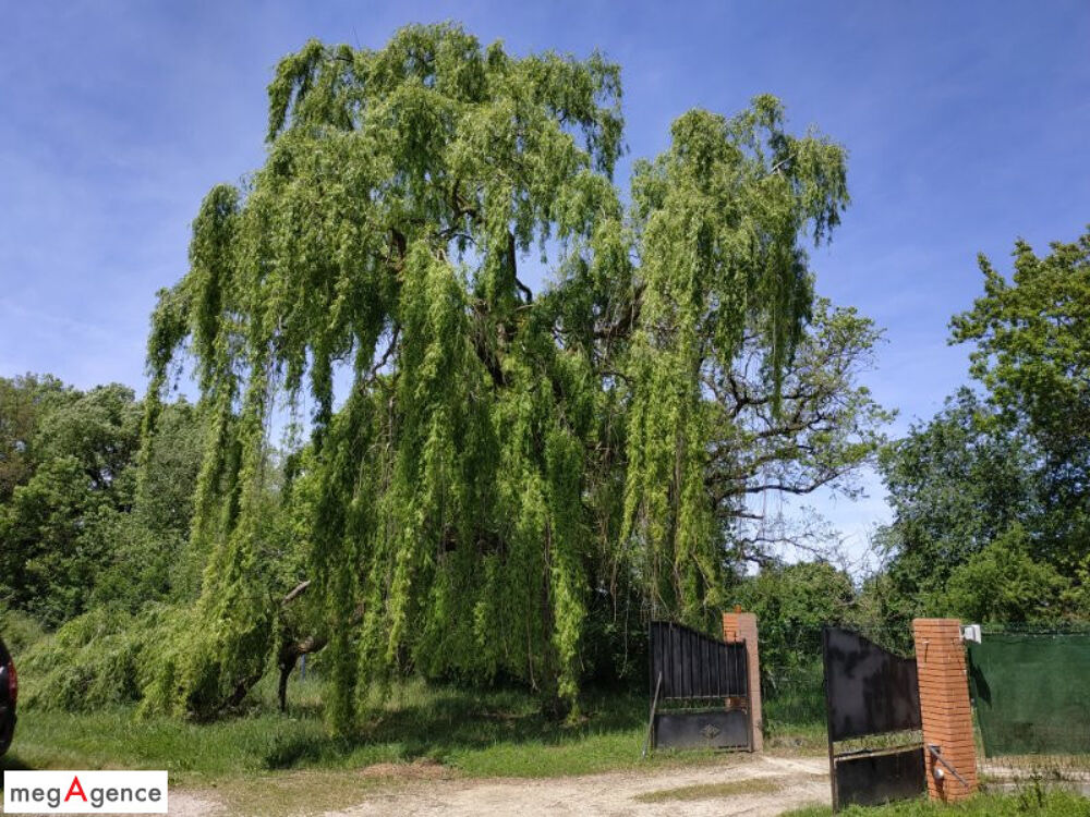 Vente Maison Maison de caractère 9 pièces à rénover plus dépendance sur 6000 m² de terrain Miremont