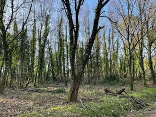  Terrain � vendre 11290 m�