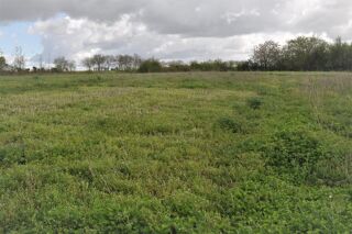  Terrain à vendre 4979 m²