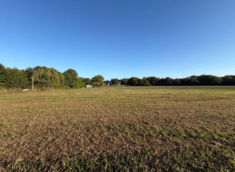 Vente Terrain Terrain constructible 950m2 Molac