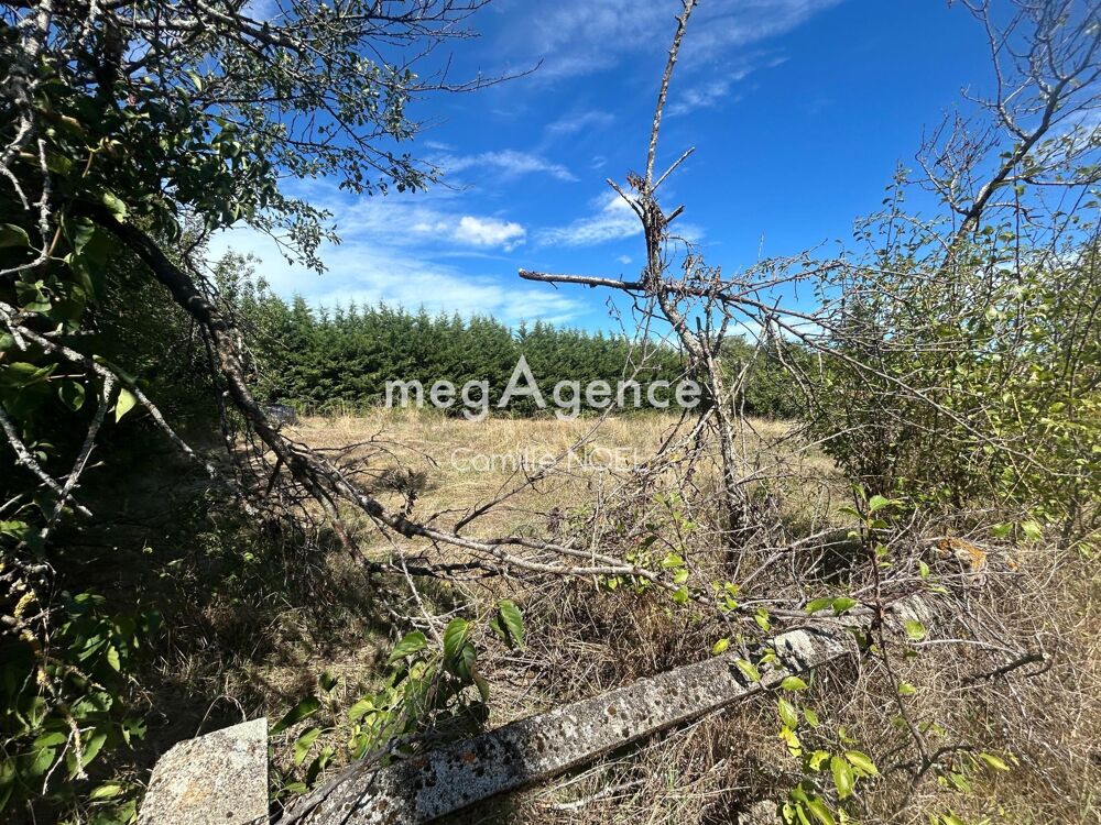 Vente Terrain À vendre – Terrain constructible de 642 m² – Saint-Galmier (42330) - 5min du Centre Ville Saint-galmier