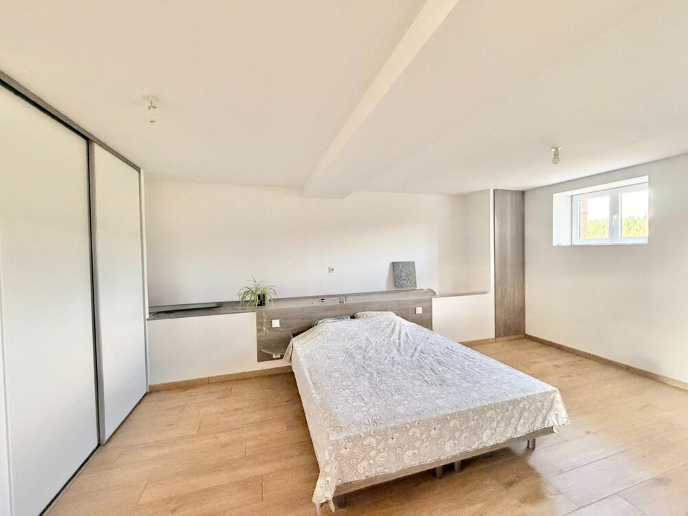 Vente Maison Maison en pierre rénovée - DPE AA - 2957 m² de terrain La chapelle-janson