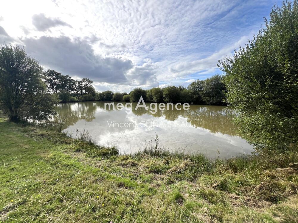 Vente Terrain Etang Cholet