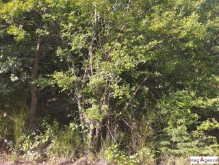  Terrain � vendre 4671 m� Ispagnac