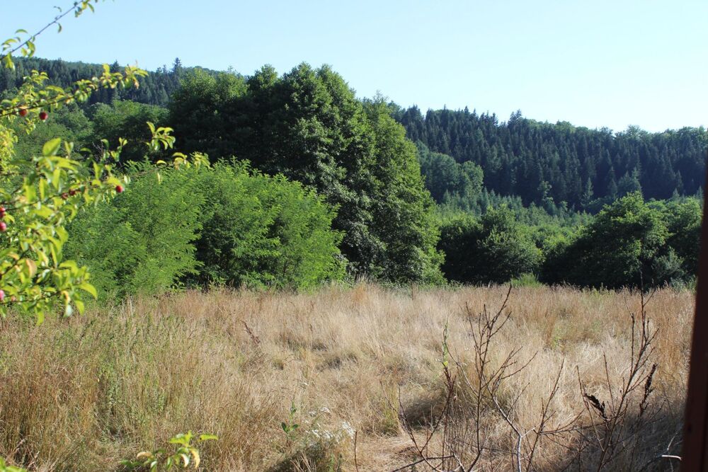 Vente Maison Maison en pierres- Pleine nature avec ruisseau Uzerche