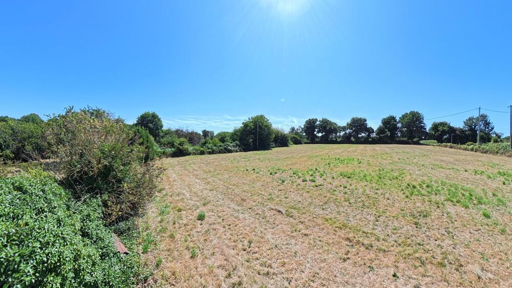 Grand corps de ferme, grande parcelle de 9800 m2